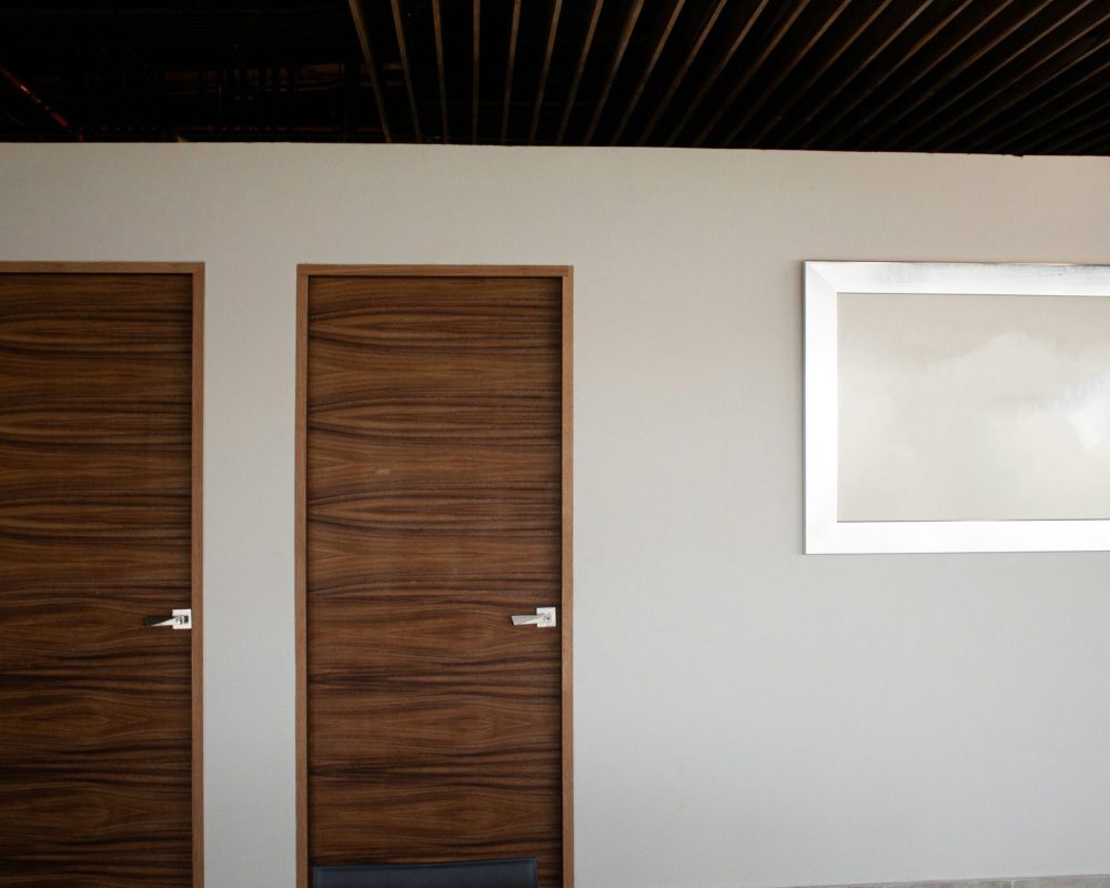 PUERTAS INTERIOR ACABADO MADERA